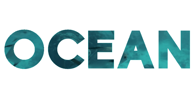 Video Mask Text